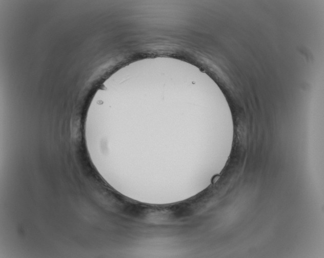 X0000113890403200910221421