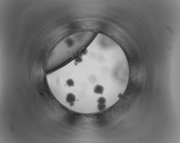 X0000113890405200910221421