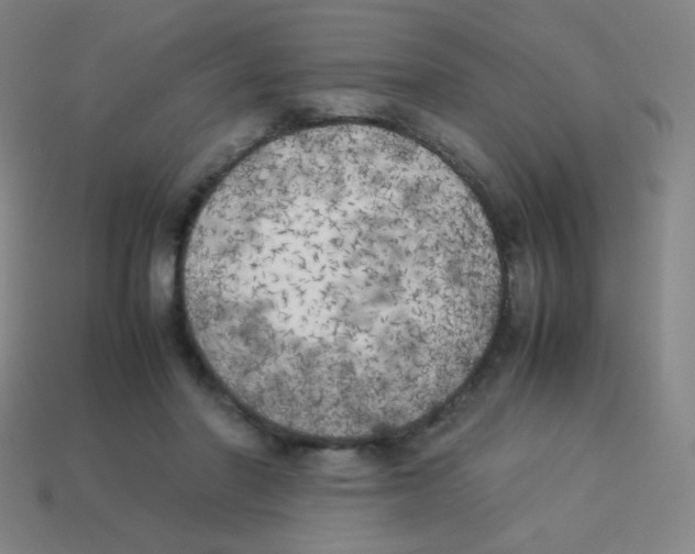 X0000113890406200910221421