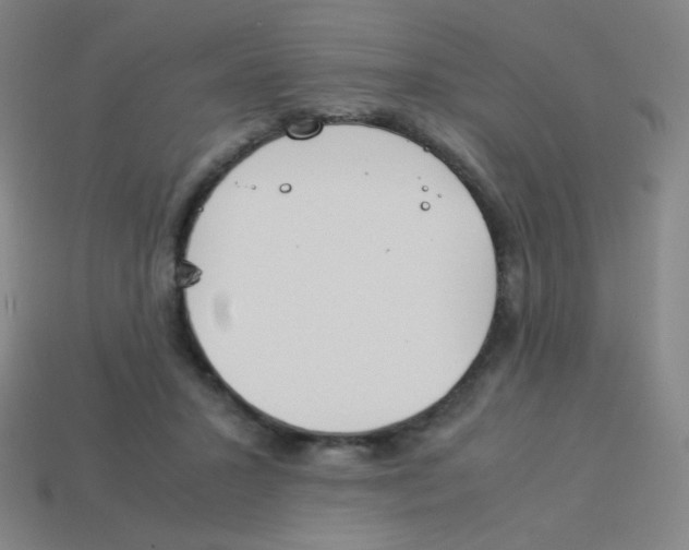 X0000113890407200910221421