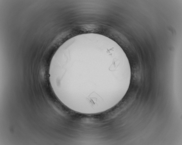 X0000113890408200910221421