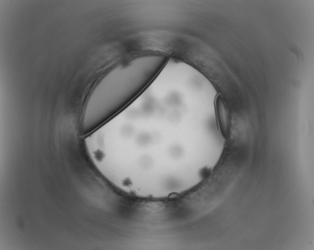 X0000113890409200910221421