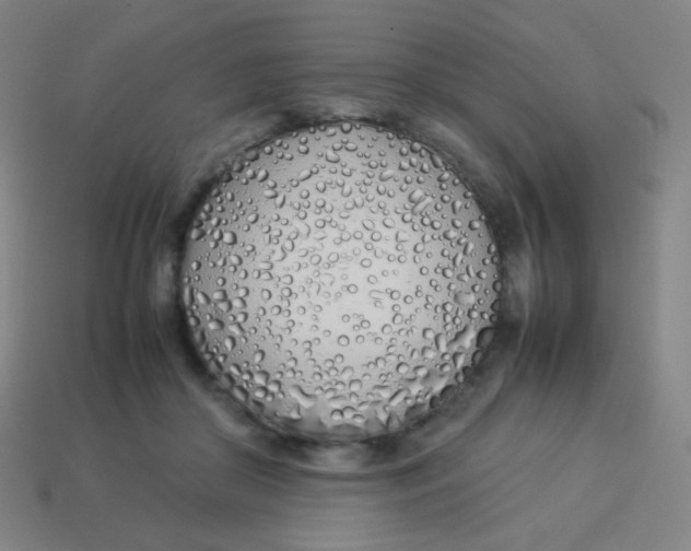 X0000113890410200910221421