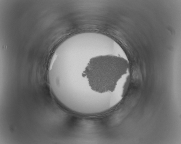 X0000113890411200910221421