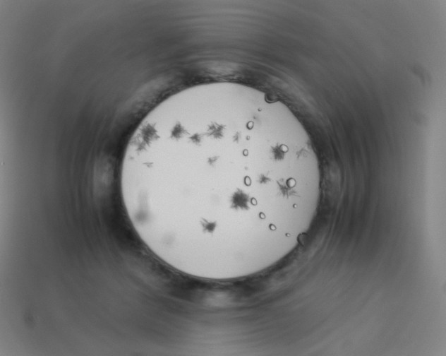 X0000113890412200910221421