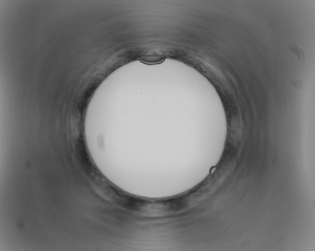 X0000113890413200910221421