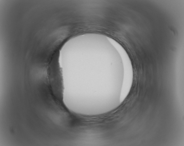 X0000113890415200910221421