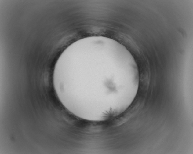 X0000113890416200910221421