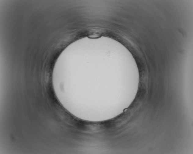 X0000113890417200910221421