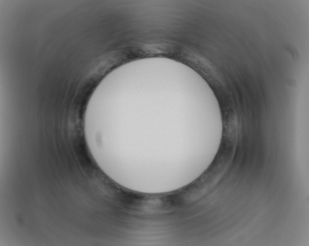 X0000113890418200910221421