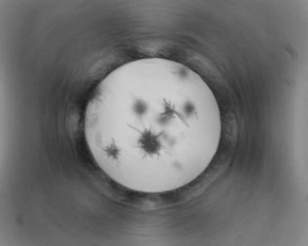 X0000113890420200910221421