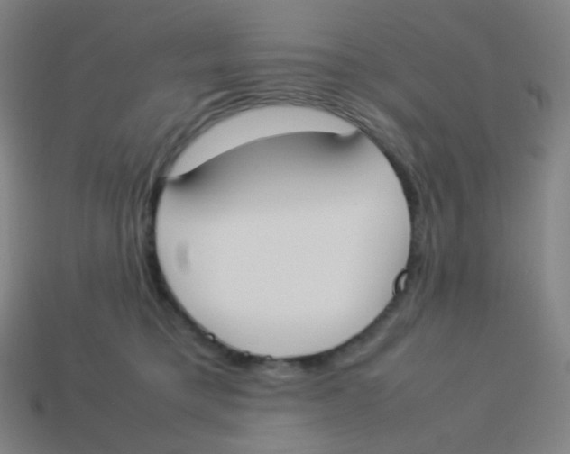 X0000113890421200910221421
