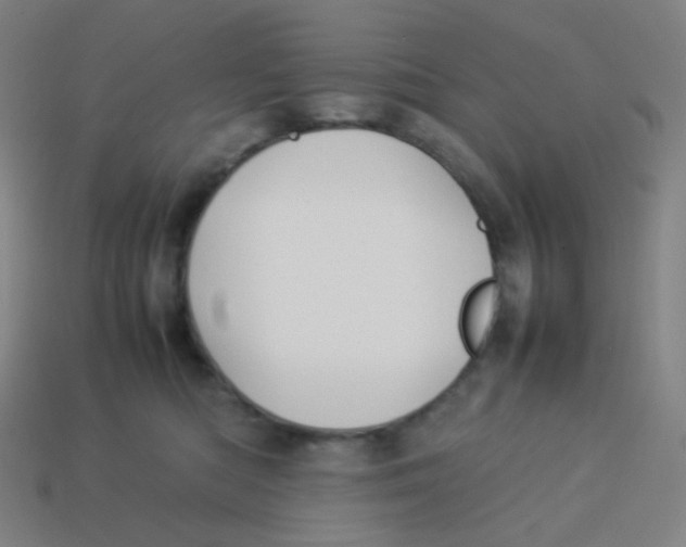 X0000113890422200910221421