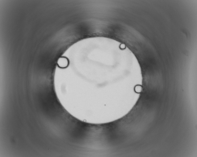 X0000113890423200910221421