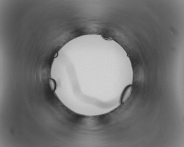 X0000113890425200910221421