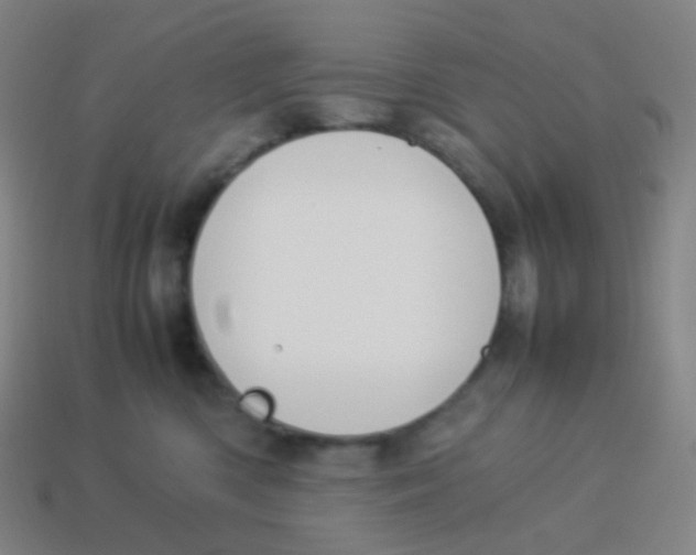 X0000113890426200910221421