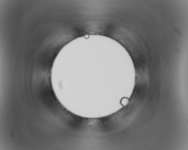 X0000113890427200910221421