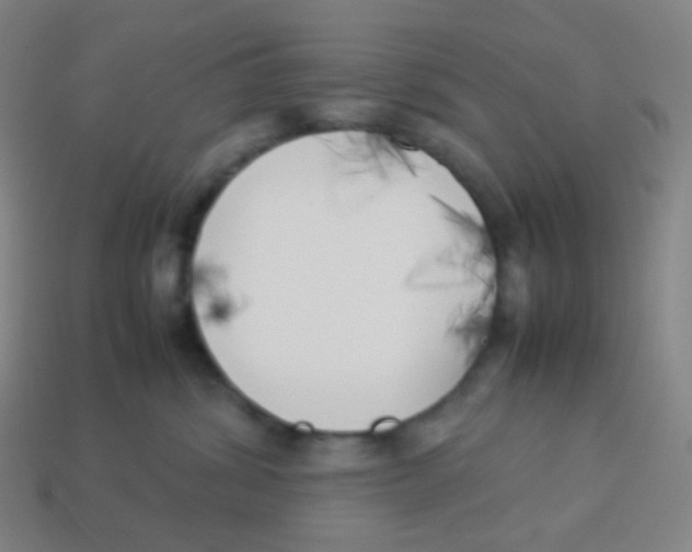 X0000113890428200910221421