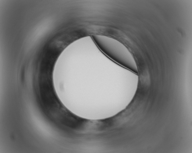 X0000113890429200910221421