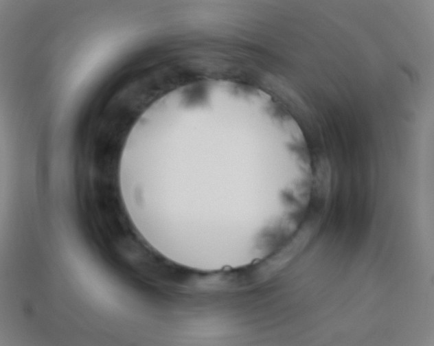 X0000113890430200910221421