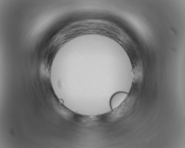 X0000113890431200910221421
