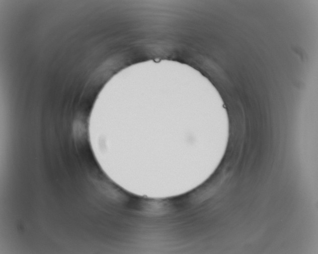 X0000113890432200910221421