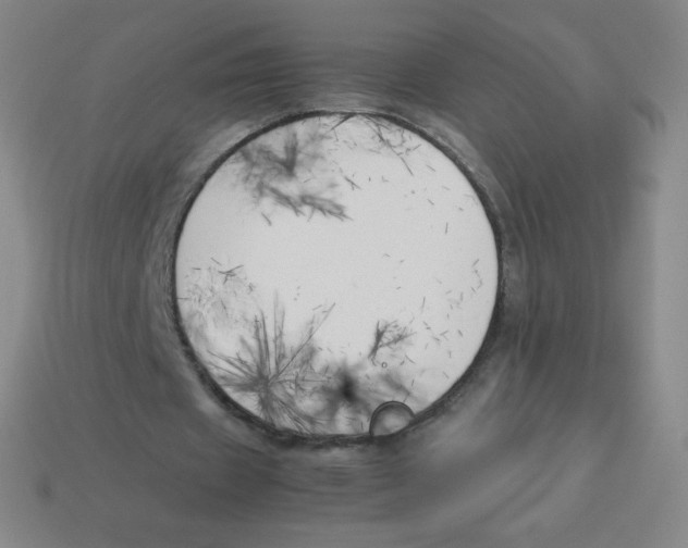 X0000113890433200910221420