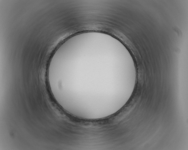 X0000113890434200910221420