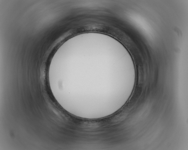 X0000113890435200910221420