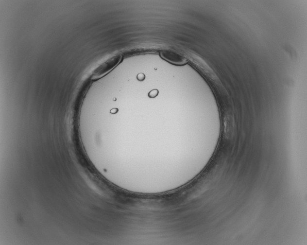 X0000113890436200910221420