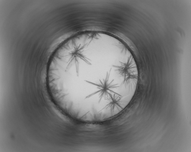 X0000113890437200910221420