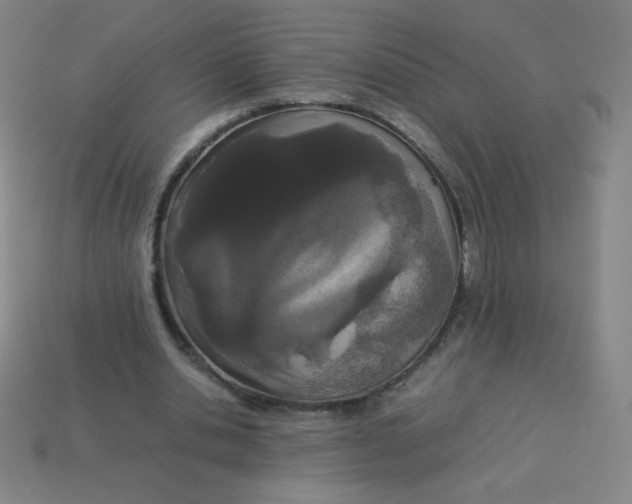 X0000113890438200910221420