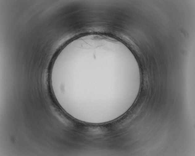 X0000113890439200910221420