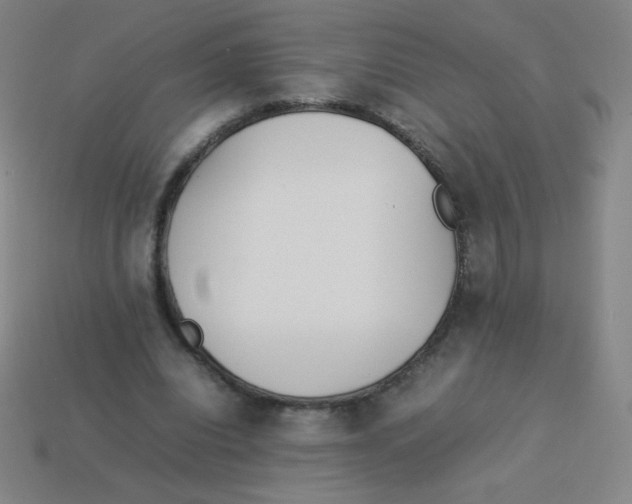 X0000113890440200910221420