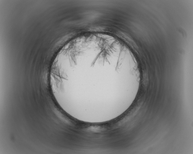 X0000113890441200910221420