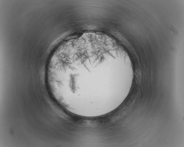 X0000113890442200910221420