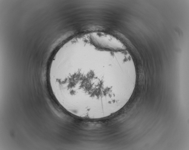 X0000113890443200910221420