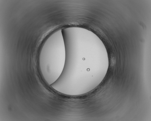 X0000113890444200910221420