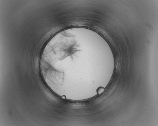 X0000113890445200910221420