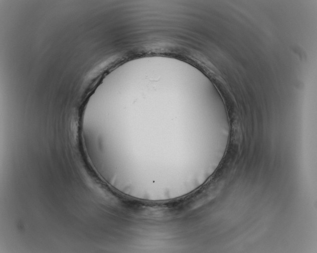 X0000113890446200910221420