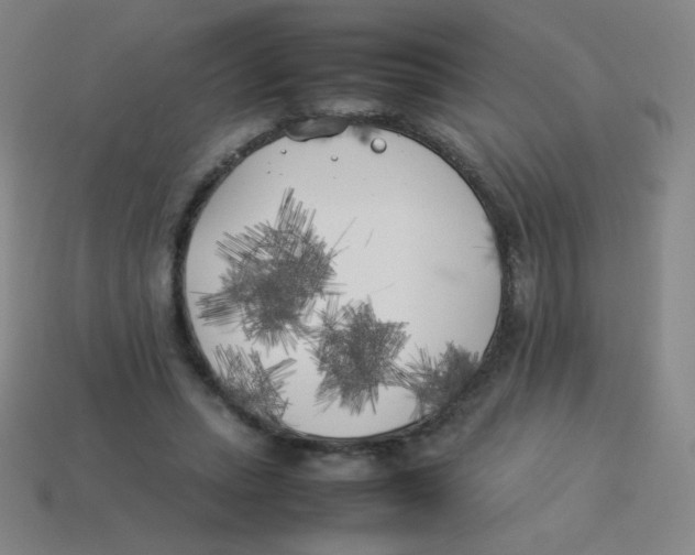 X0000113890447200910221420
