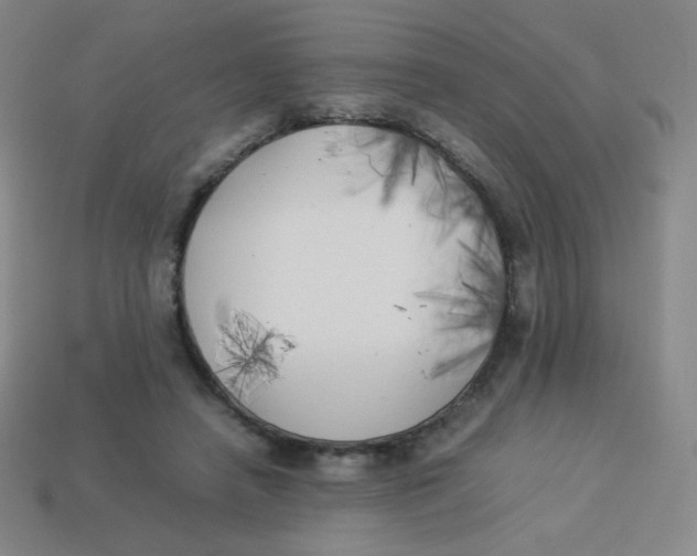 X0000113890450200910221420