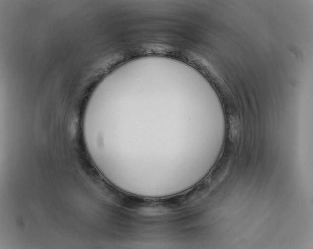 X0000113890451200910221420