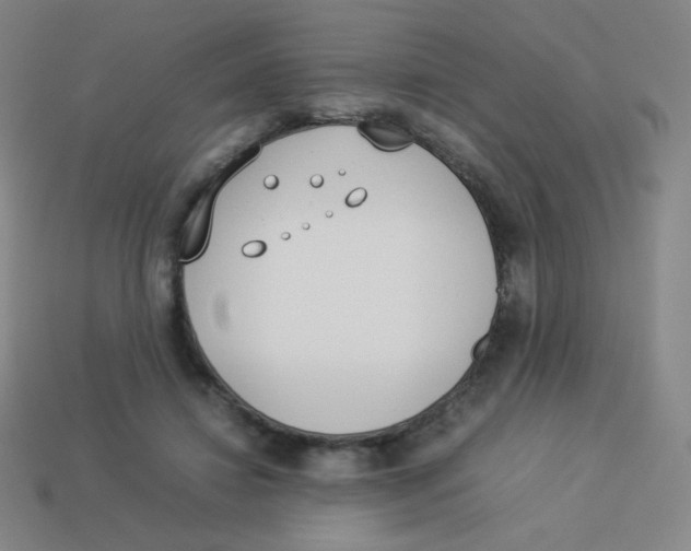 X0000113890452200910221420