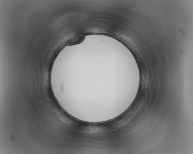 X0000113890453200910221420