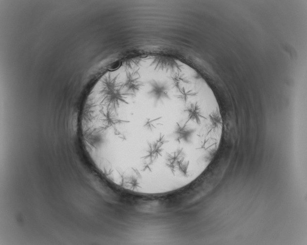 X0000113890454200910221420