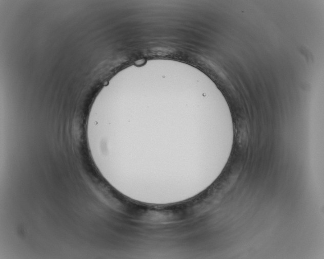 X0000113890455200910221420