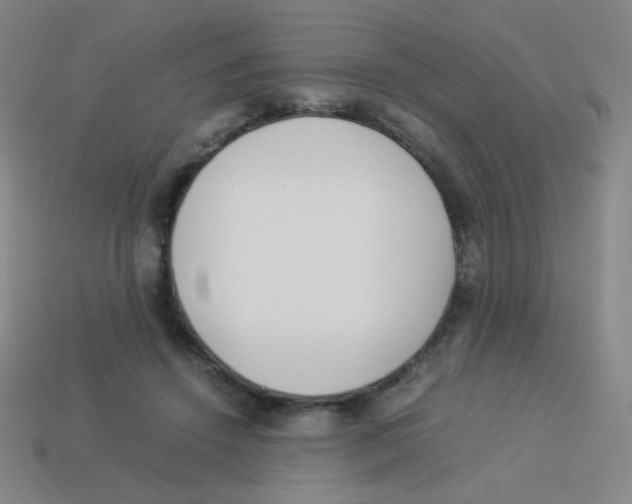 X0000113890456200910221420