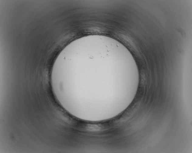 X0000113890457200910221420