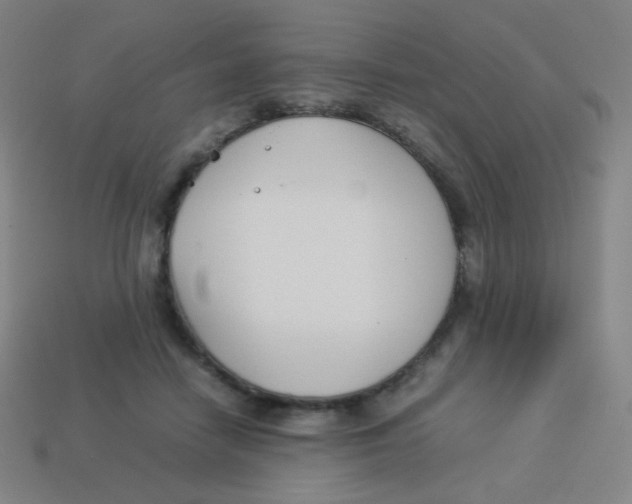 X0000113890458200910221420